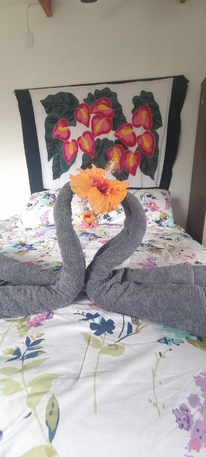 Hostal Henua Roa 2 Apartment Hanga Roa Bagian luar foto