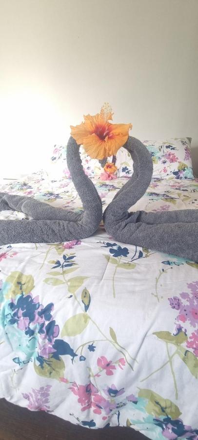 Hostal Henua Roa 2 Apartment Hanga Roa Bagian luar foto
