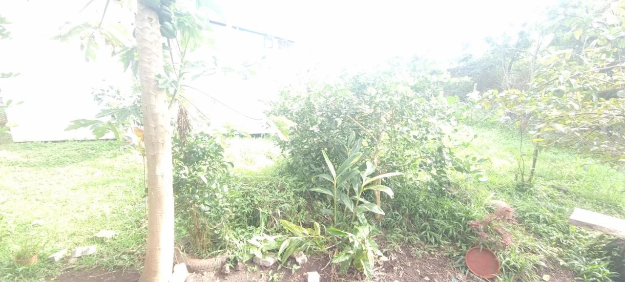 Hostal Henua Roa 2 Apartment Hanga Roa Bagian luar foto